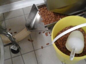 xcanale-vib-mandorle-4248.jpg.pagespeed.ic.l4FkSNbnKr