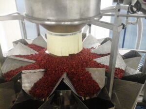 xscarico-su-multitesta-1154.jpg.pagespeed.ic.80FtPBc6tK